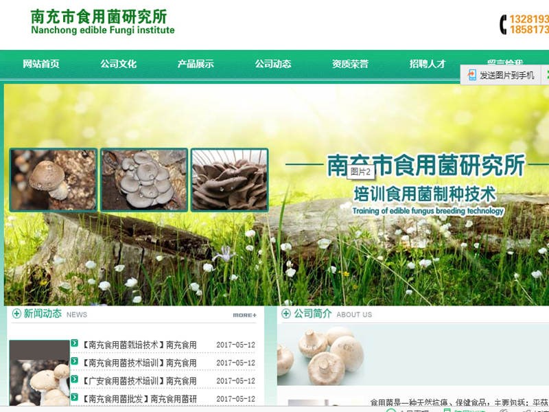 【南充网站建设】南充网站开发_南充网站设计,南充网站制作_南充网络推广,南充小程序开发_南网网络科技有限