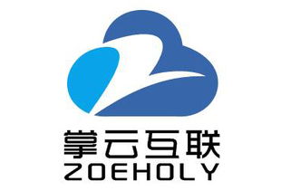 成都掌云互联 专业营销型网站建设，赋能南充企业数字化转型